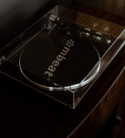 Copy of DAVID LAPAGE PHOTOGRAPHY © - (50)