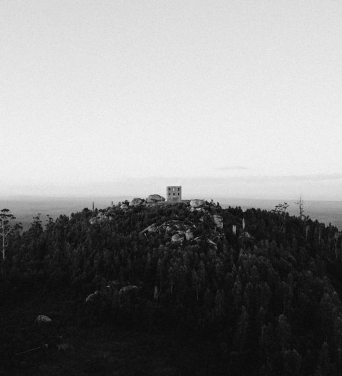 Copy of DAVID LAPAGE PHOTOGRAPHY © - (6)