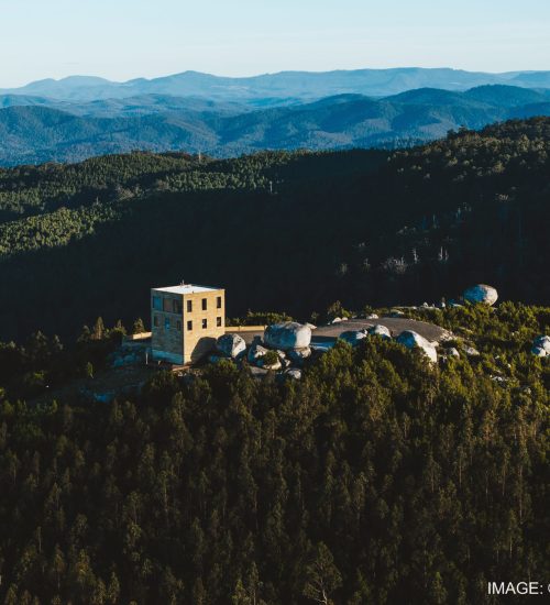 Copy of DJI_20240322104123_0892_D_STUDRONE