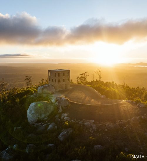 Copy of DJI_20240322235005_0056_D_STUDRONE