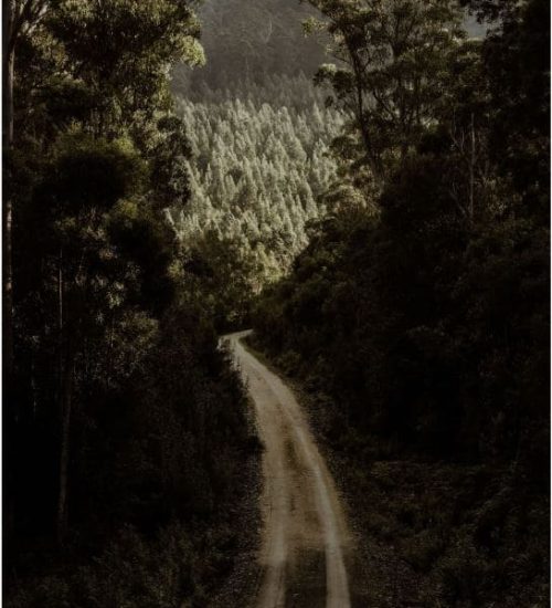 Copy of Dave LaPage - Driveway