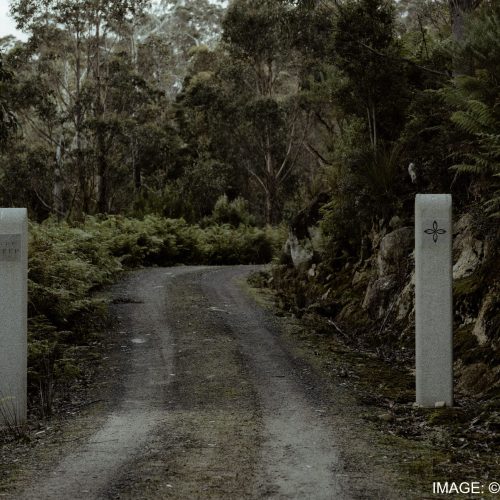 DAVID LAPAGE PHOTOGRAPHY 13