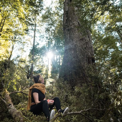 Liam Neal - Near Far 11